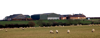Colesden Lodge Farm March 2010